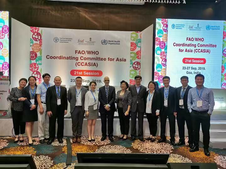 嘉興粽子”將走向世界！粽子國(guó)際標(biāo)準(zhǔn)獲得立項(xiàng)